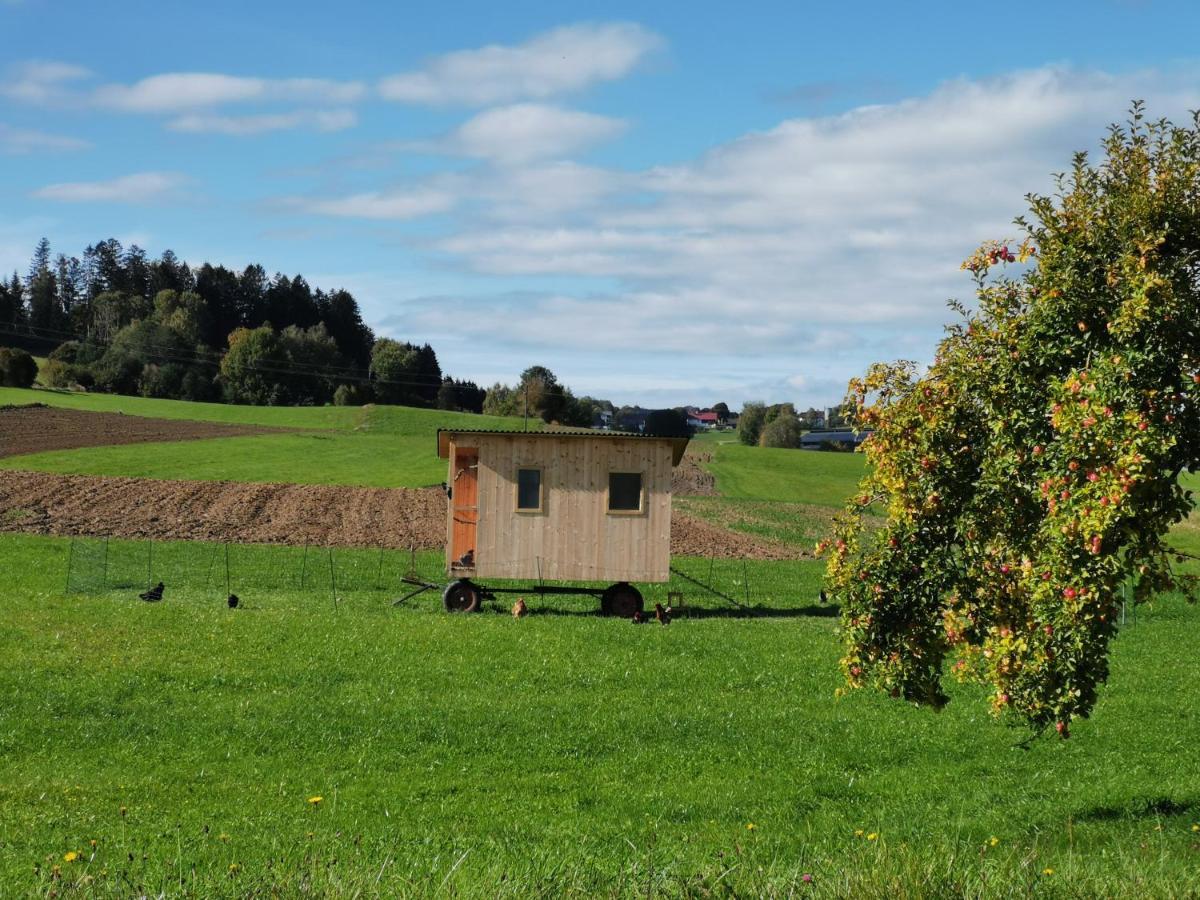 Ferdlhof Ferienwohnung Ulrichsberg Exterior foto